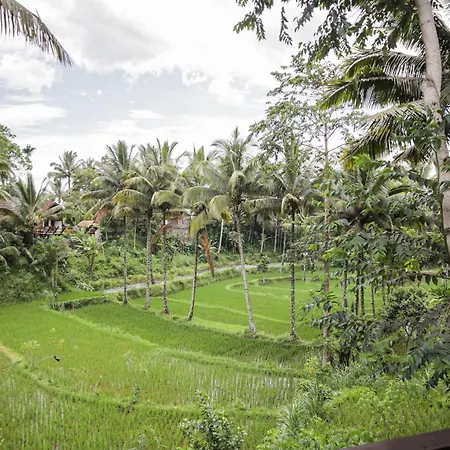 Nea Cottage Lombok Tetebatu Exterior photo