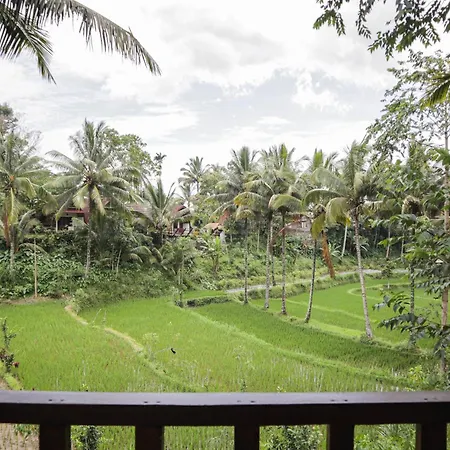 Nea Cottage Lombok Tetebatu Exterior photo