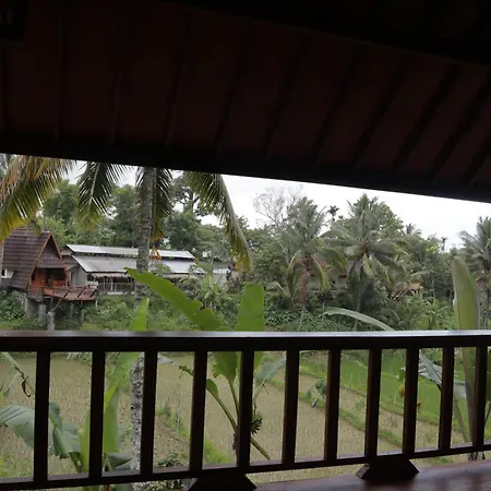 Nea Cottage Lombok Tetebatu Exterior photo