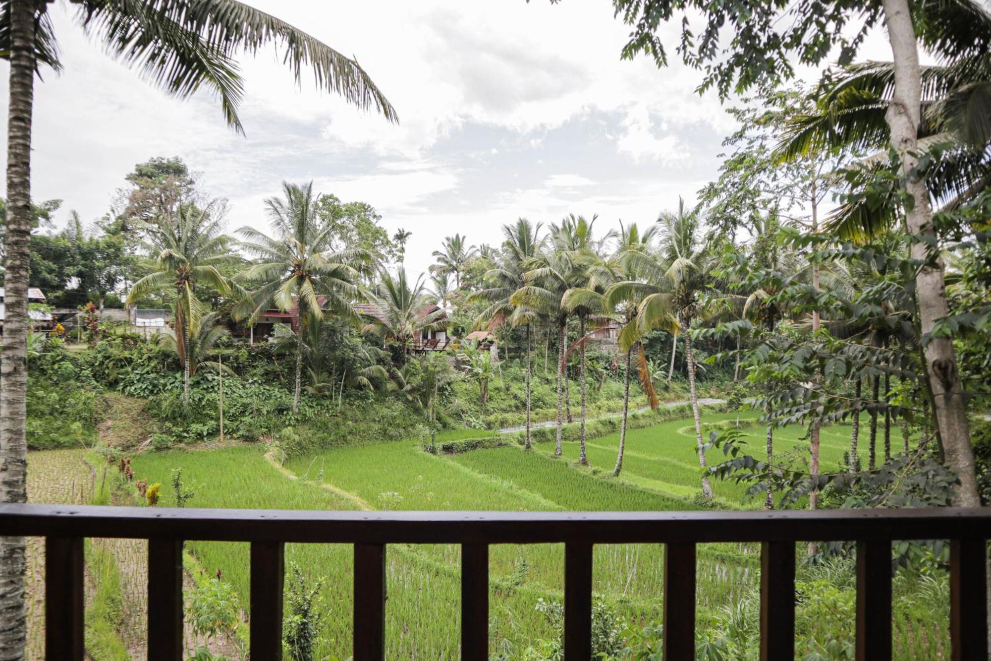 Nea Lombok Lodge *