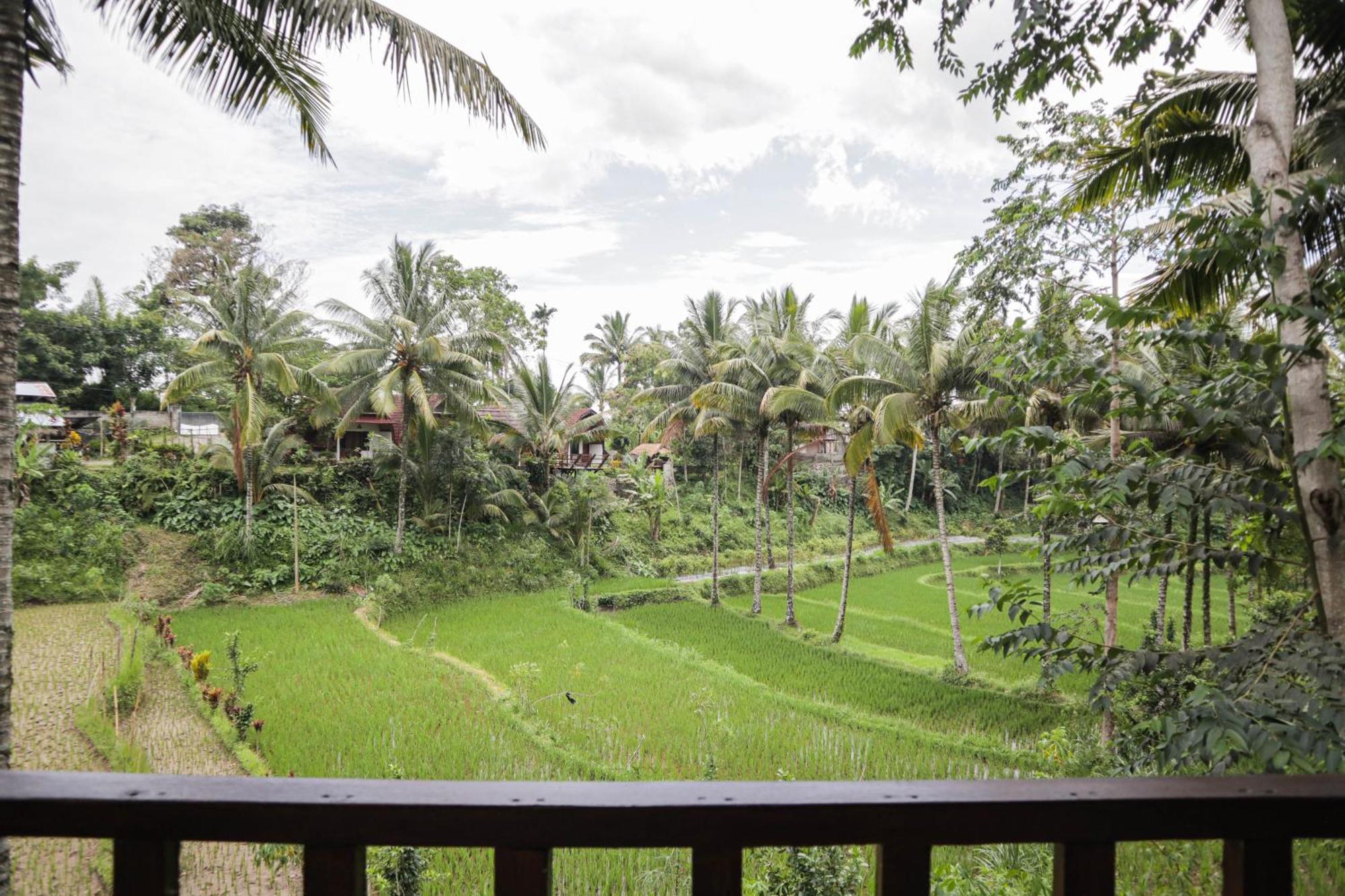 Nea Lombok