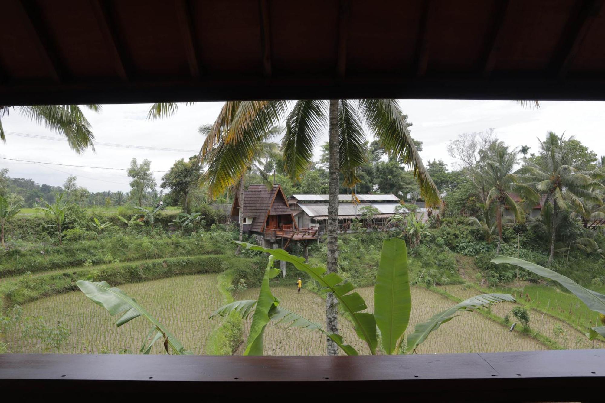 Nea Lombok *