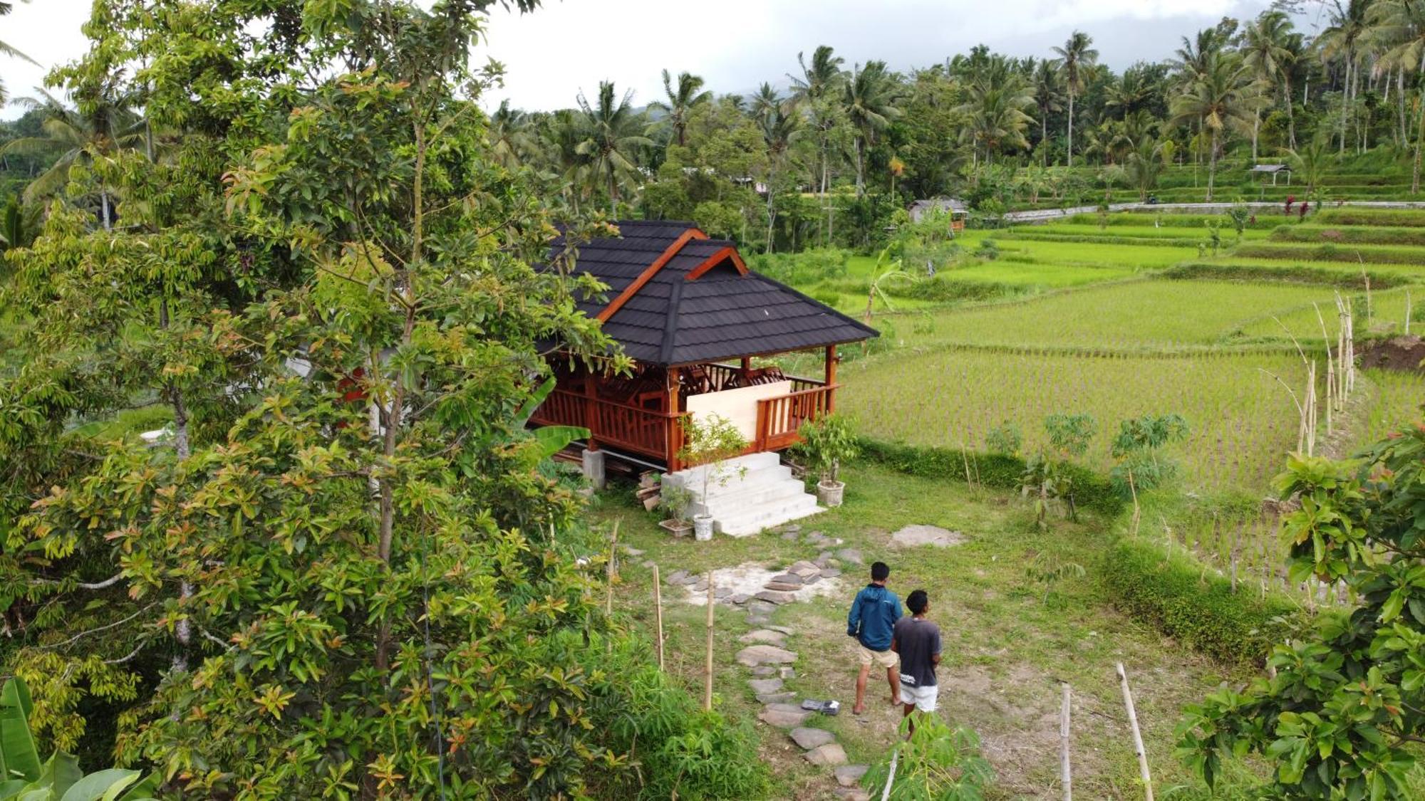 Nea Lombok Tetebatu