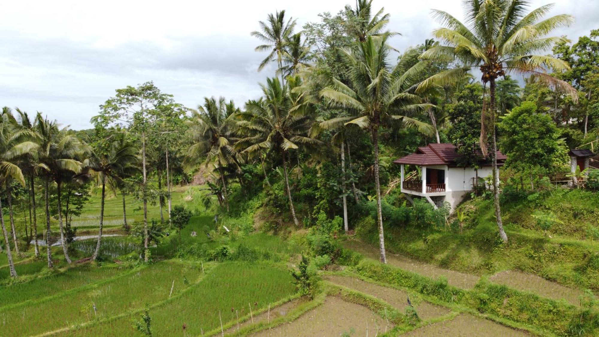 Nea Lombok Lodge