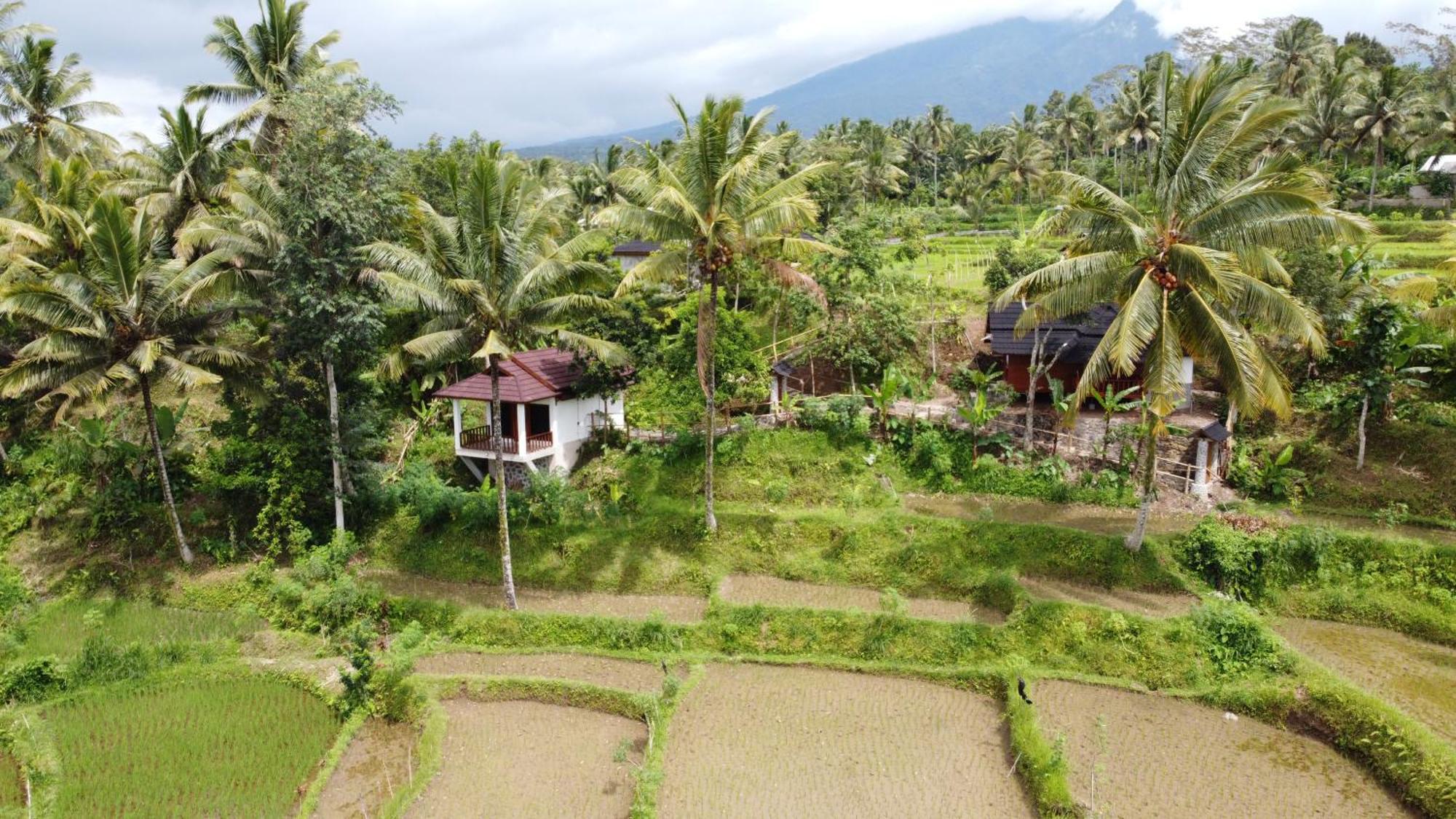 Lodge Nea Lombok