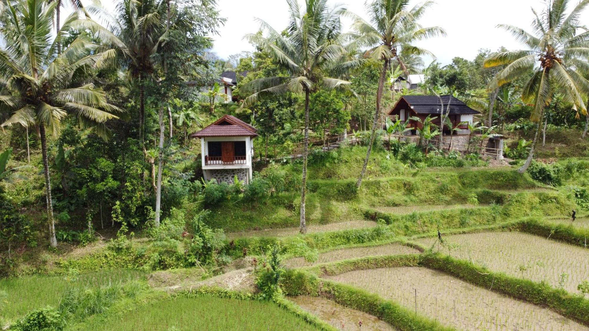 Lodge Nea Lombok *