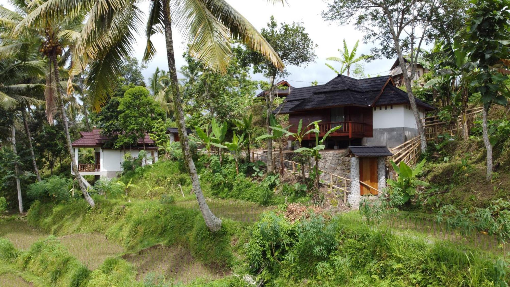 Nea Lombok * Tetebatu