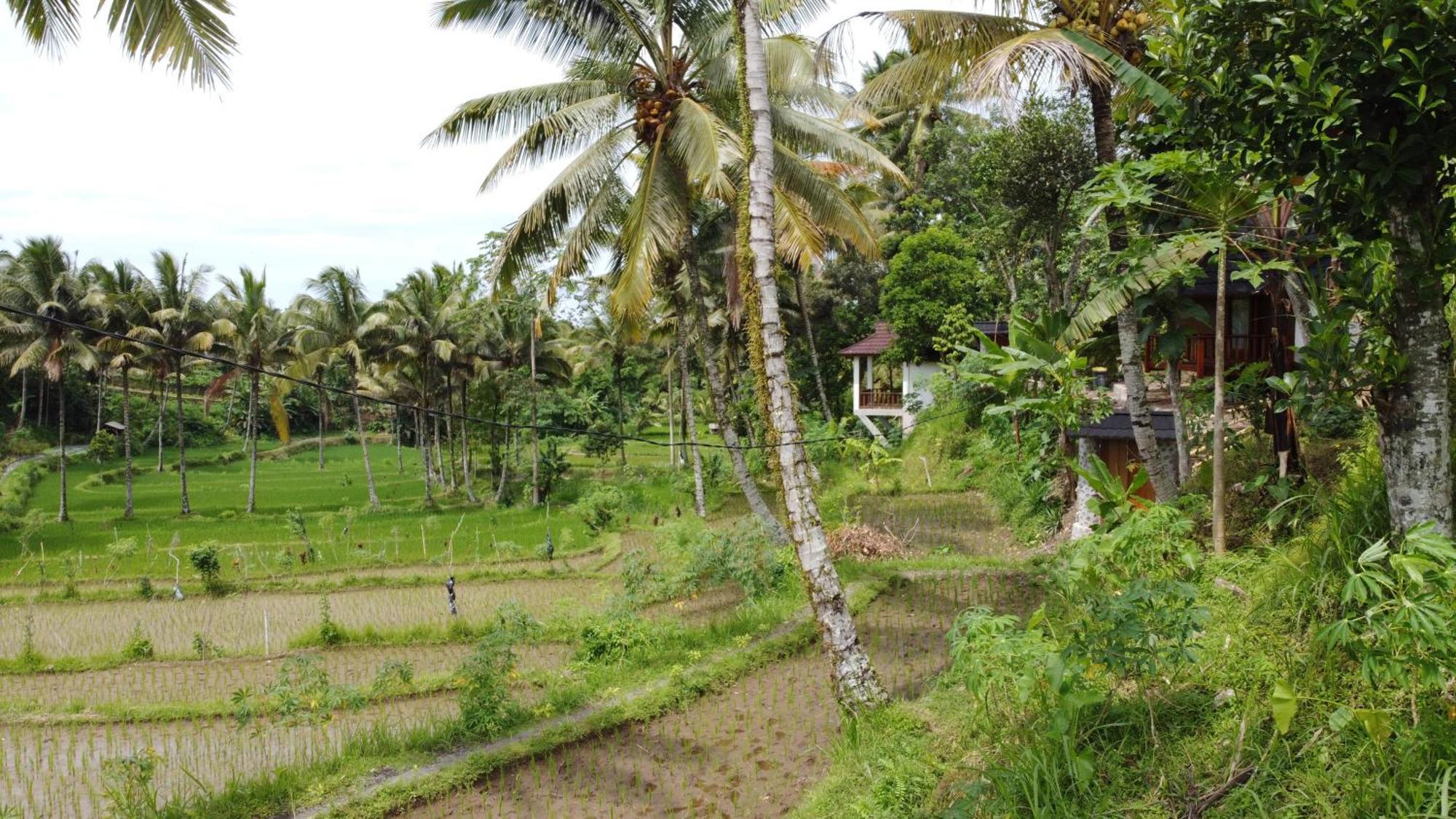 Nea Lombok Lodge *
