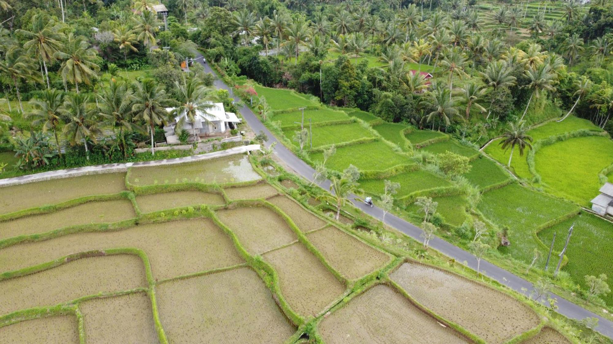 Nea Lombok Lodge Tetebatu