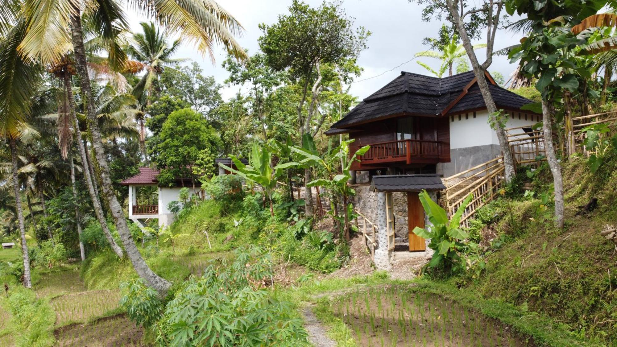 Lodge Nea Lombok Tetebatu
