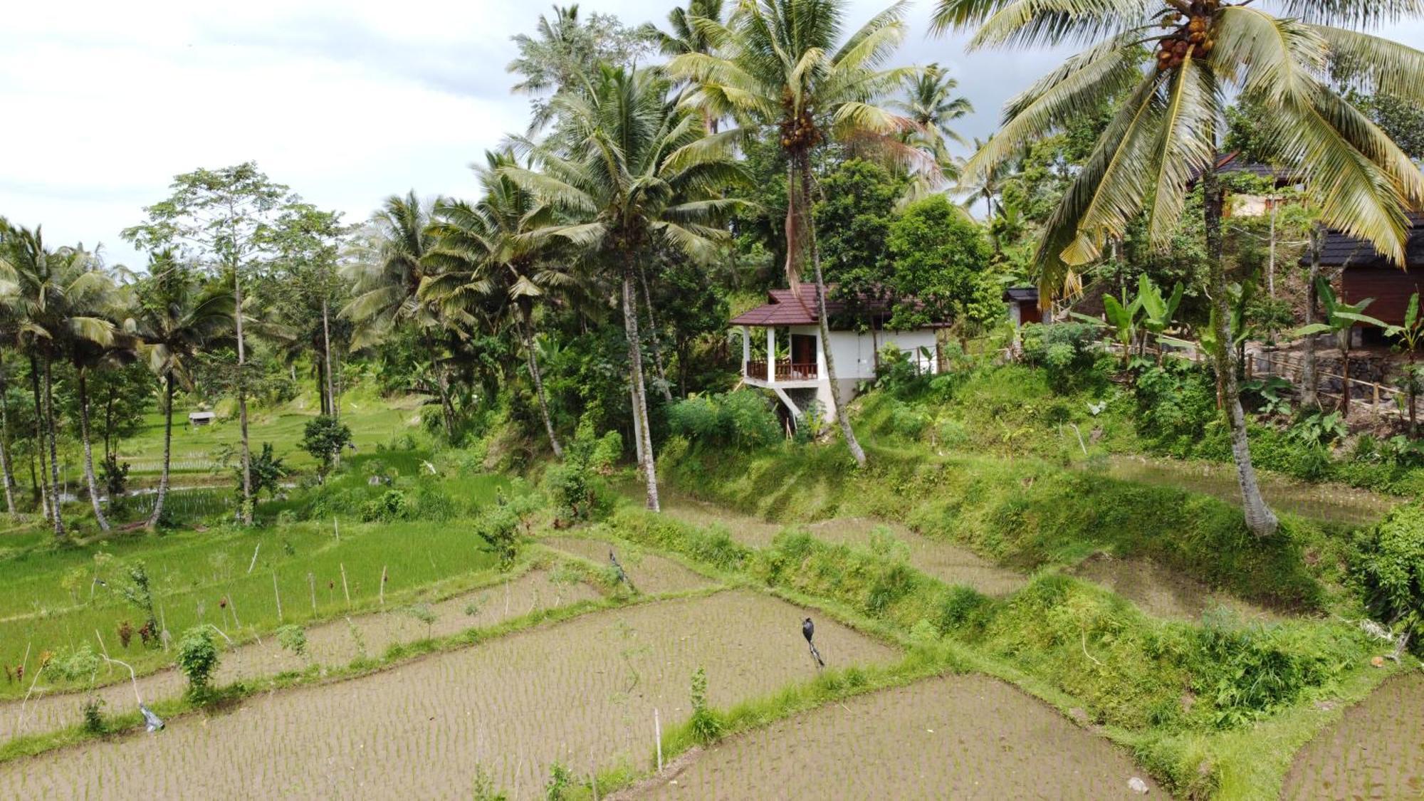 Nea Lombok Lodge
