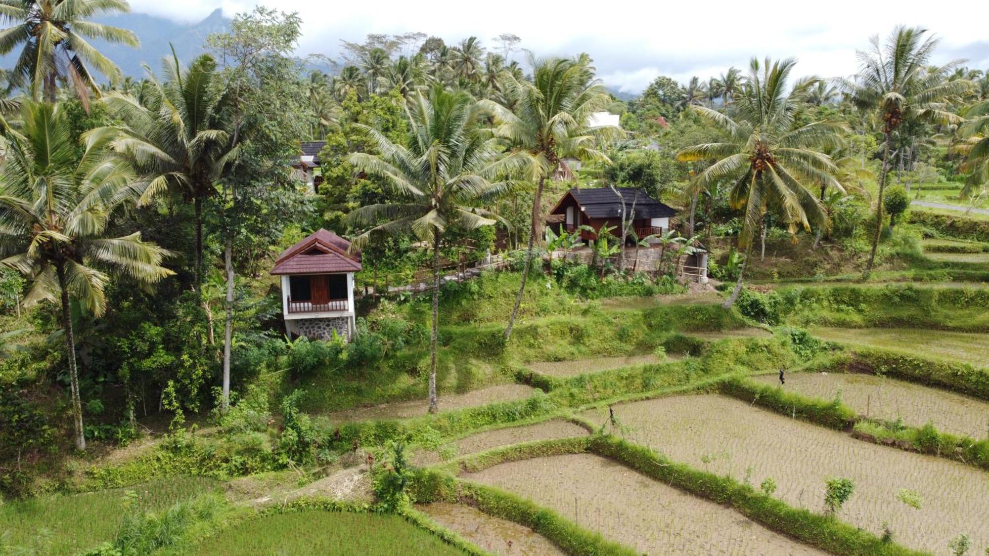 Lodge Nea Lombok Tetebatu
