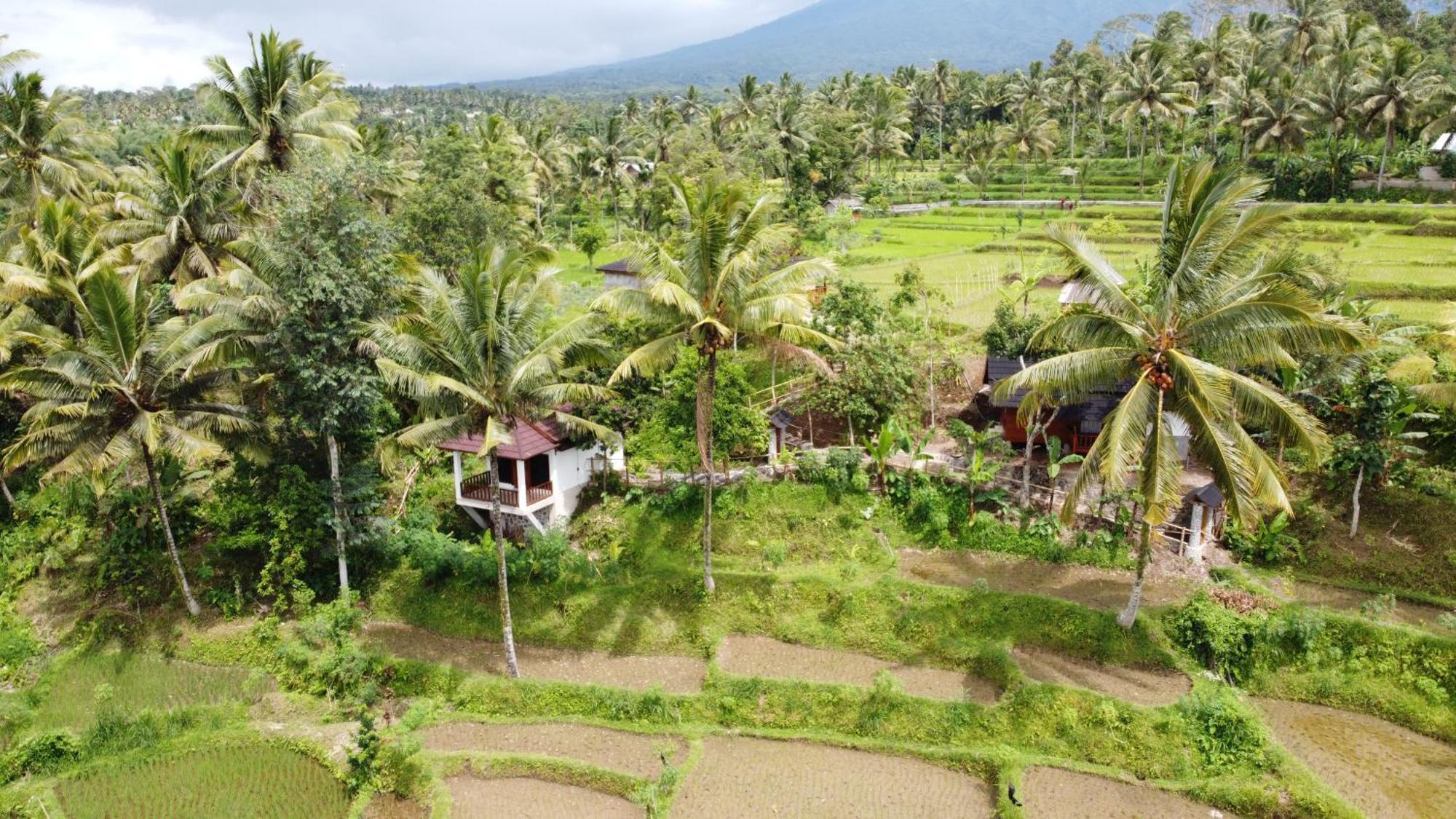 Nea Lombok *