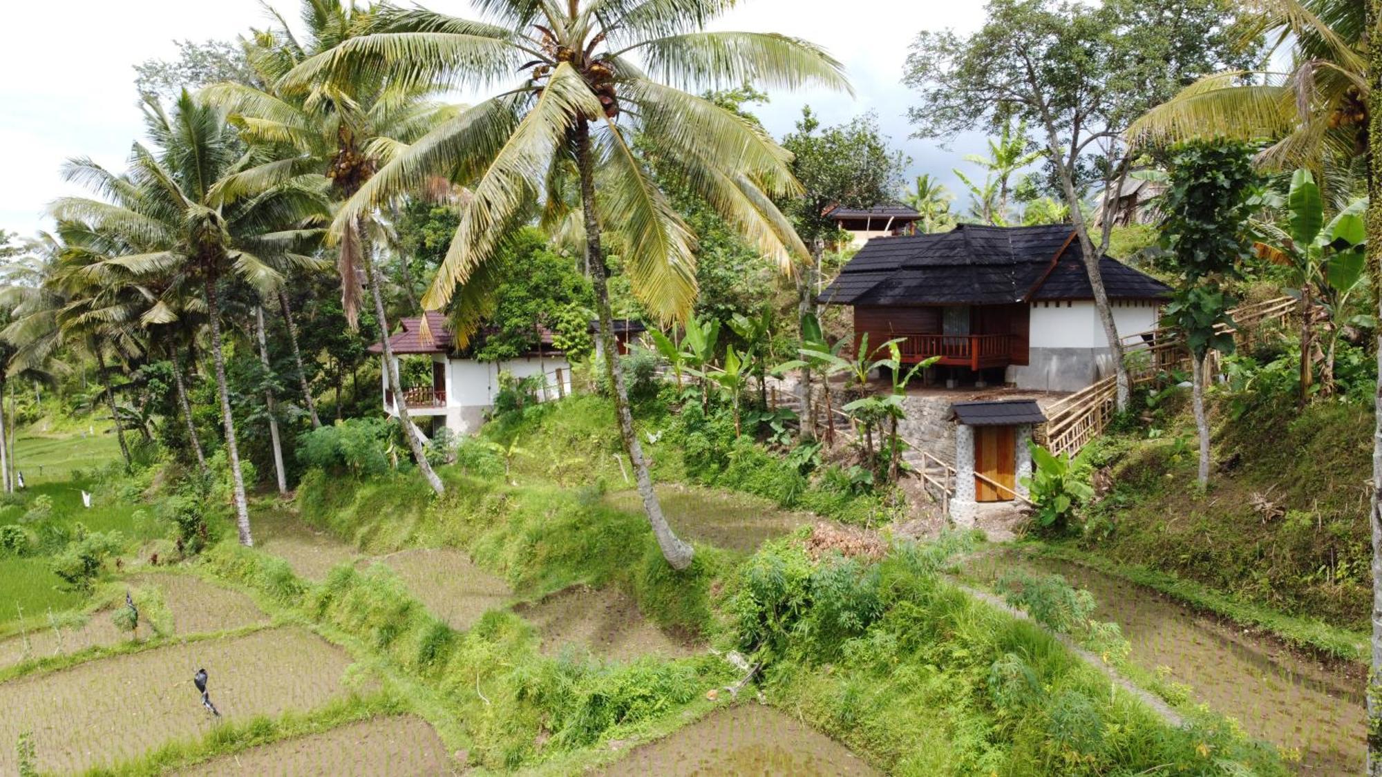 Nea Lombok Tetebatu