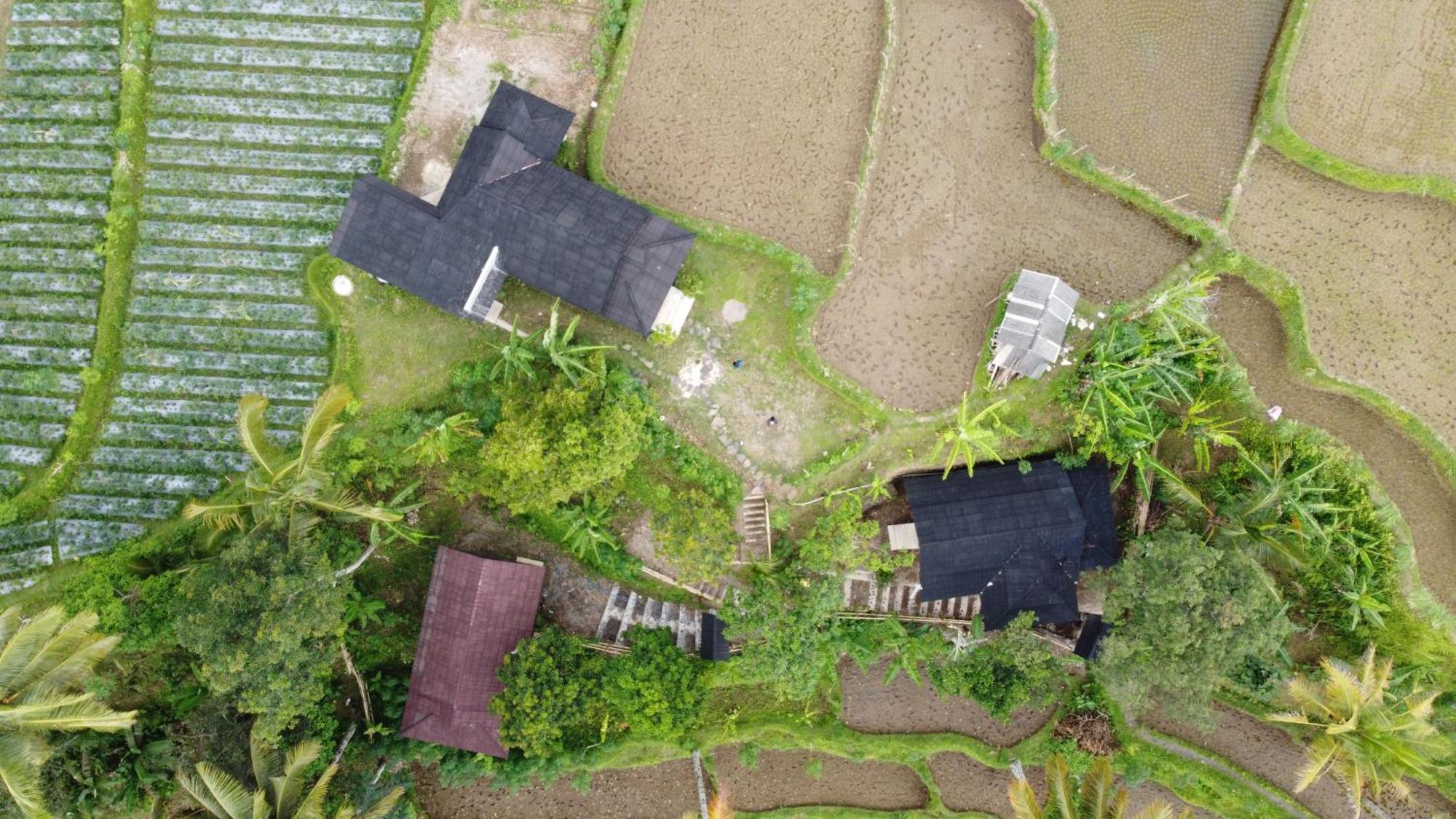 Nea Lombok