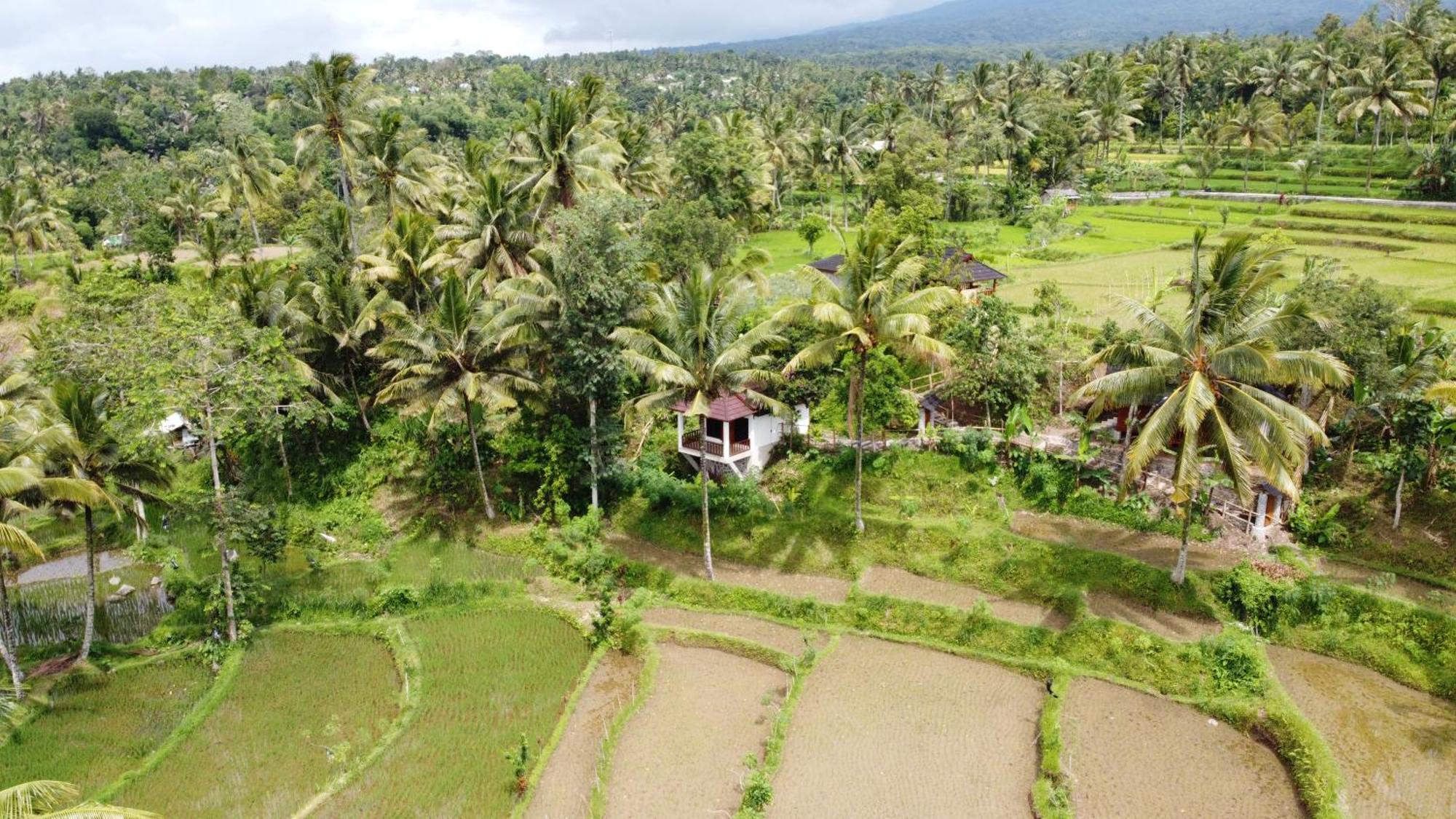 Lodge Nea Lombok
