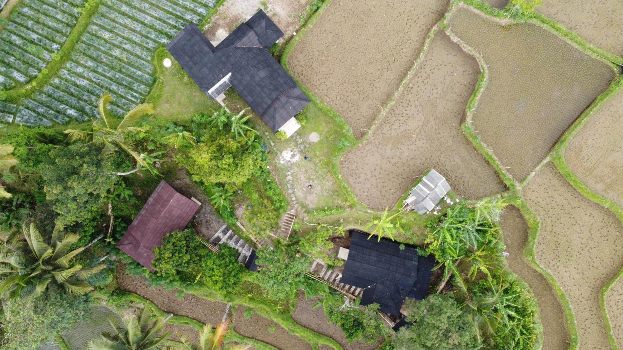 Lodge Nea Lombok Tetebatu