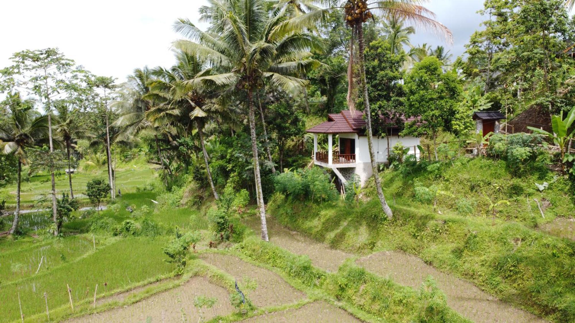 Nea Lombok Lodge