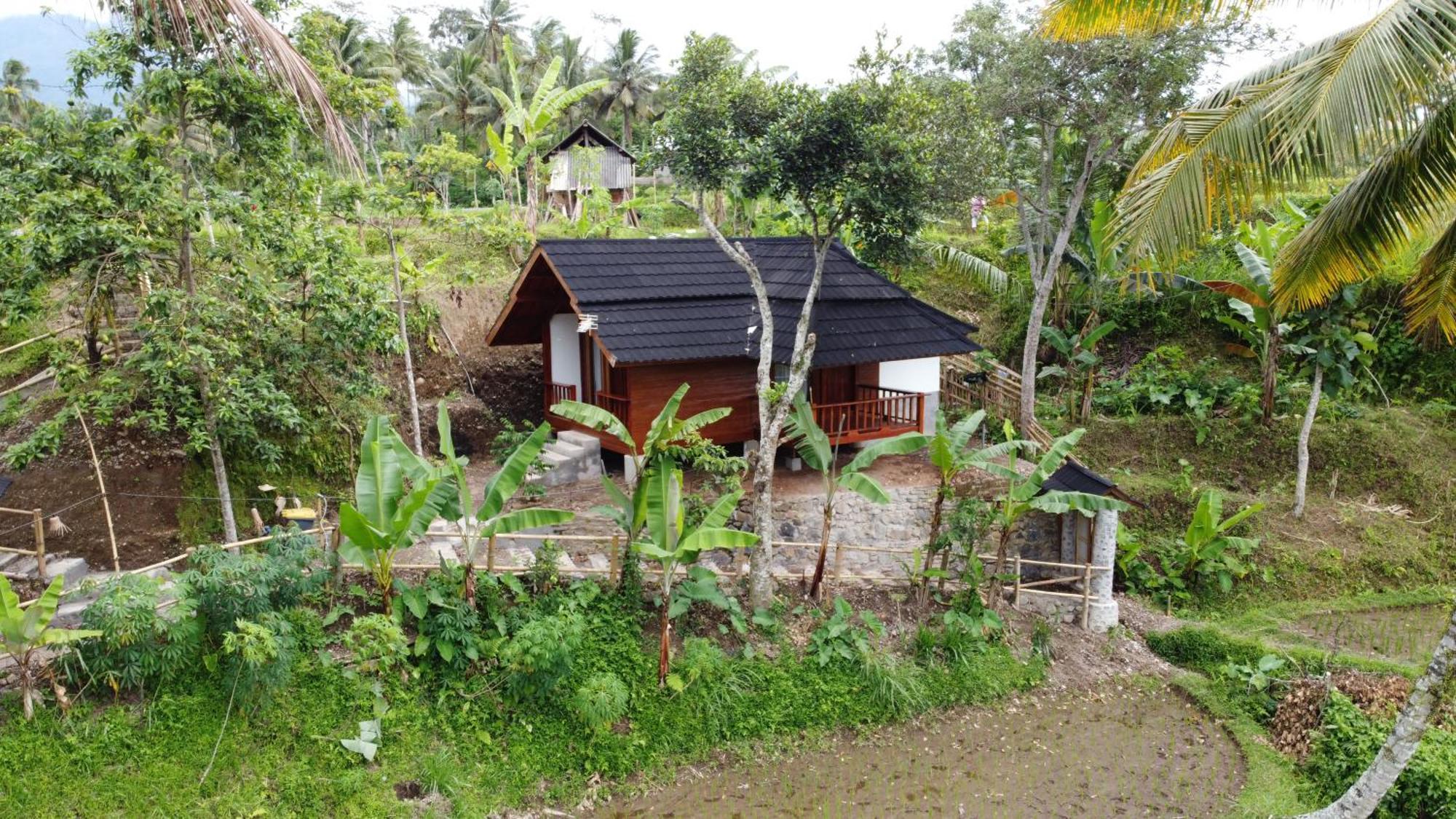 Nea Lombok