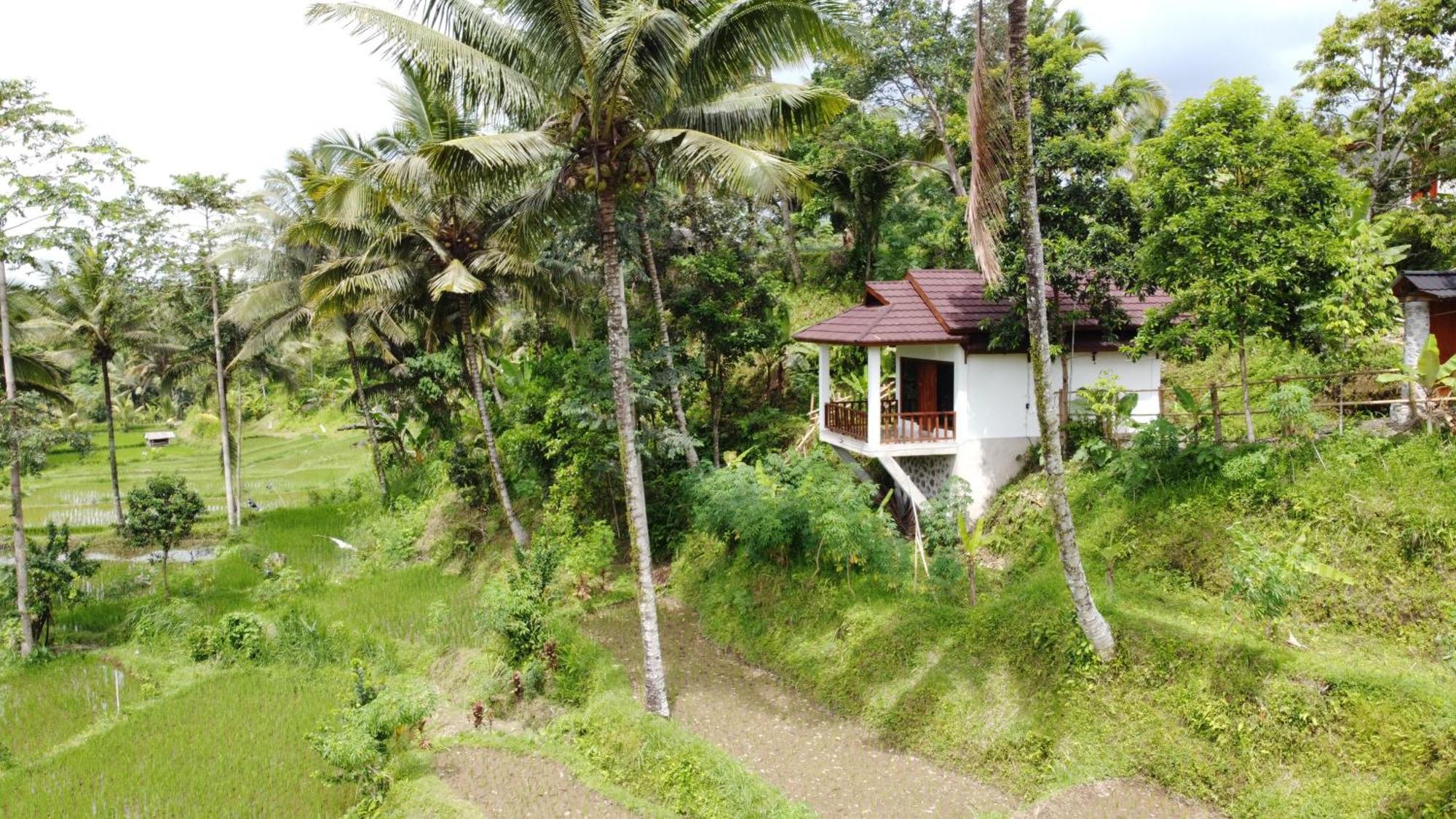Lodge Nea Lombok