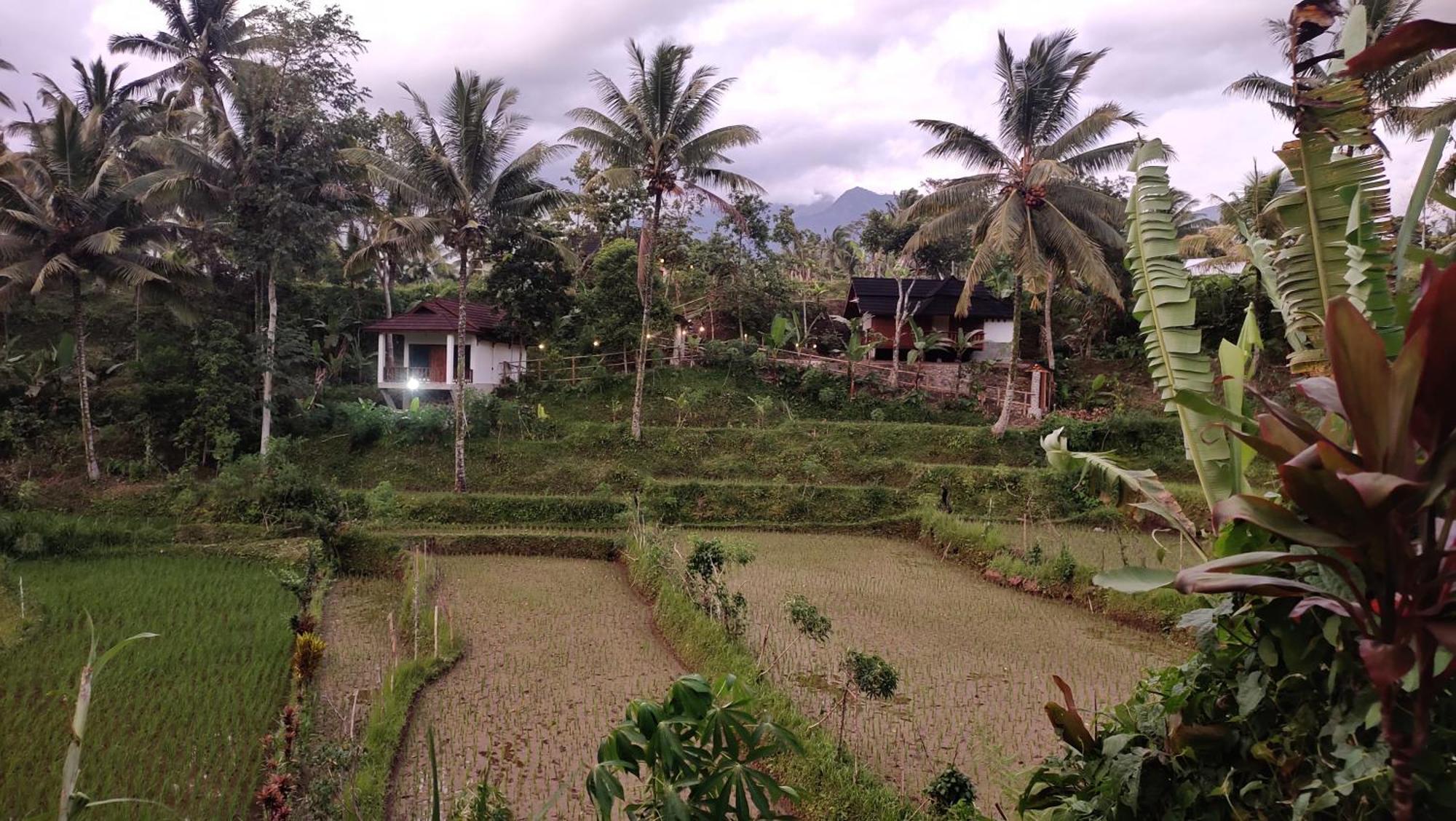 Lodge Nea Lombok
