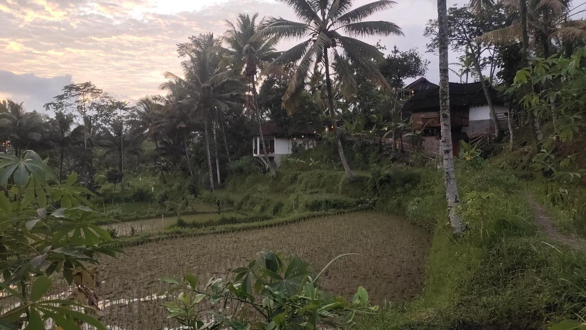 Nea Lombok Tetebatu