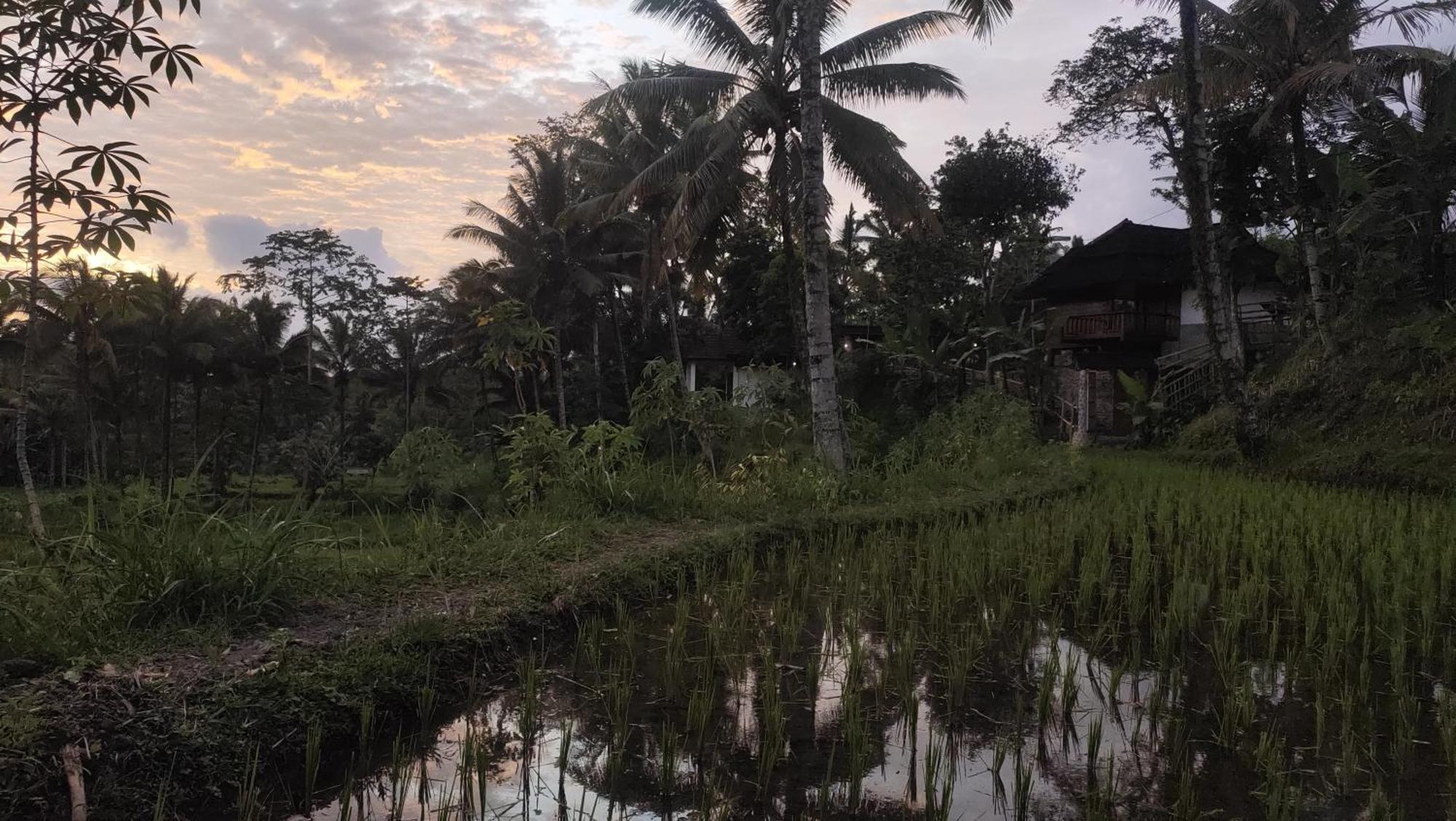 Nea Lombok