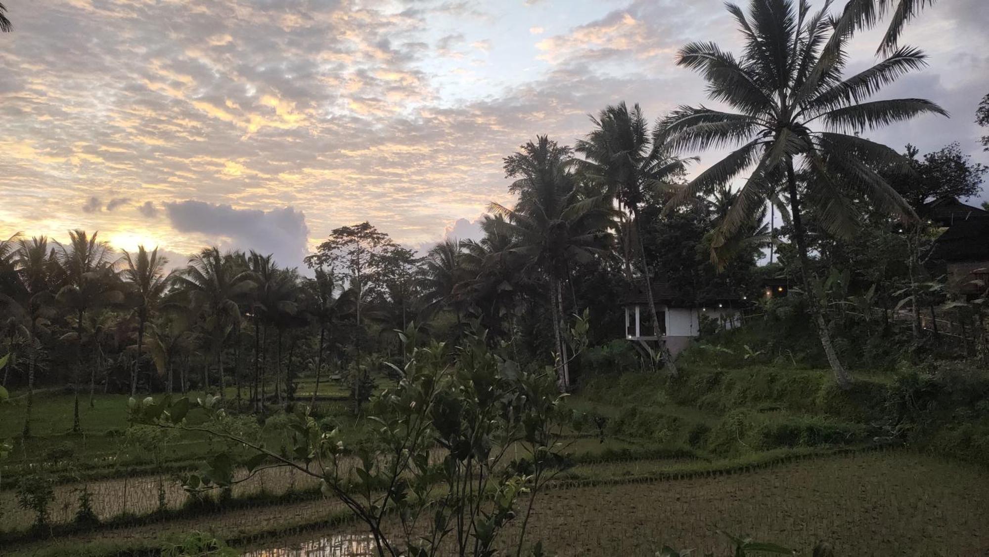 Nea Lombok Lodge *
