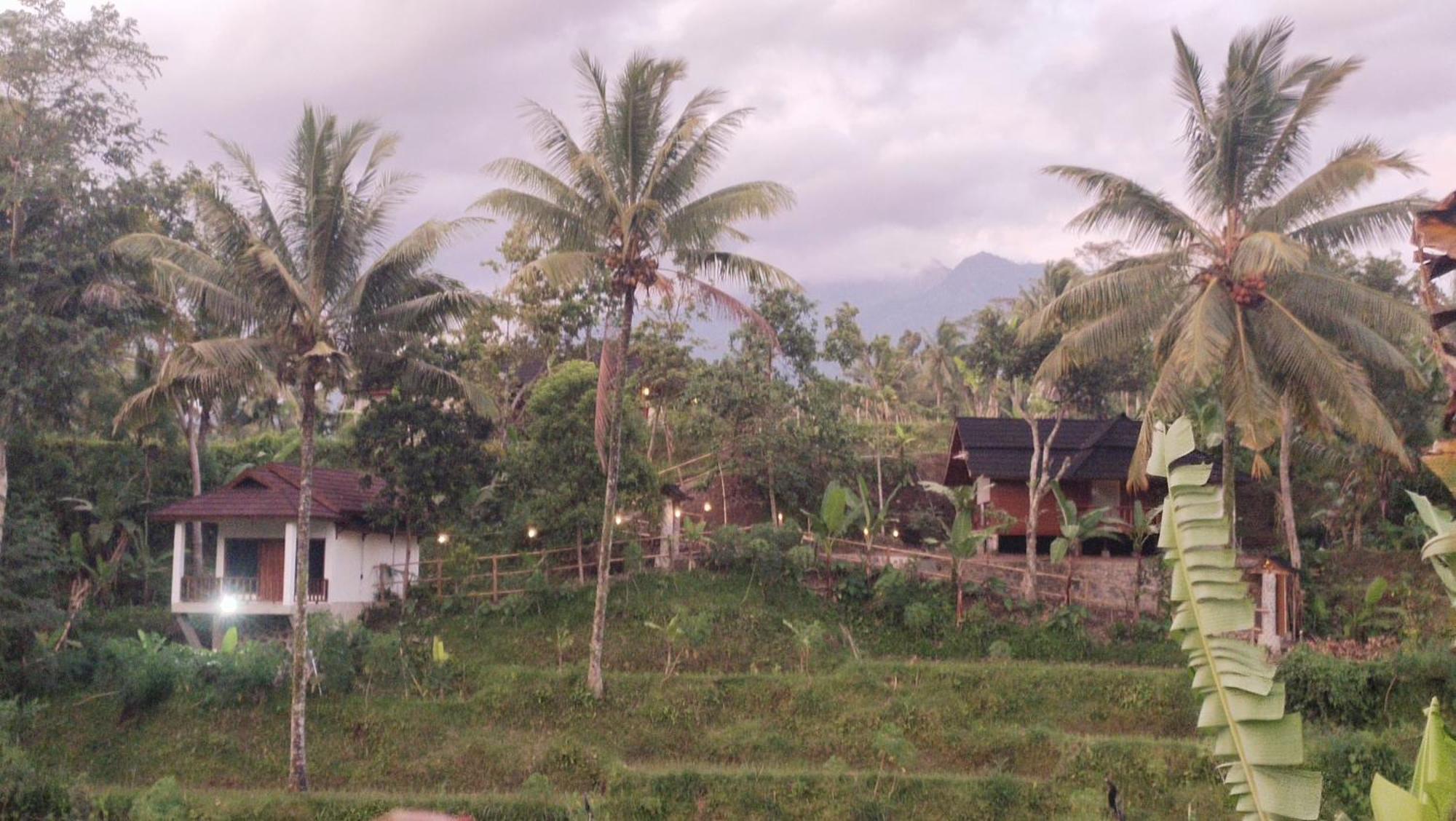 Lodge Nea Lombok *