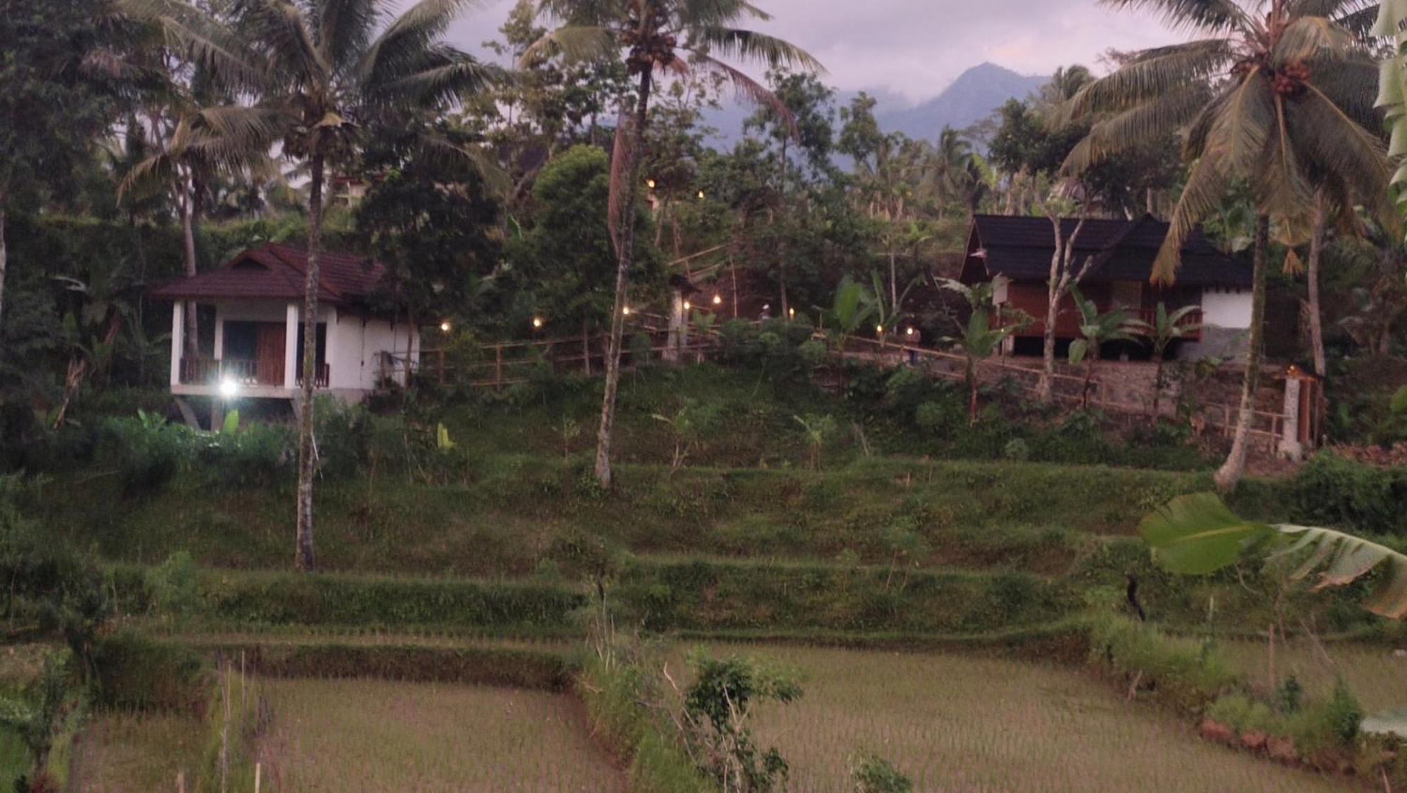 Lodge Nea Lombok Tetebatu