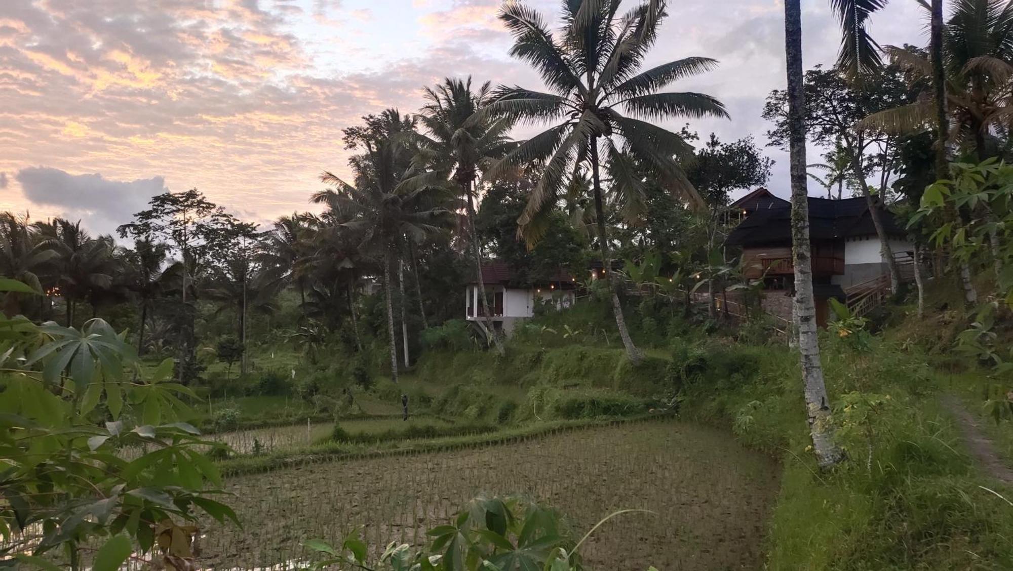 Nea Lombok *